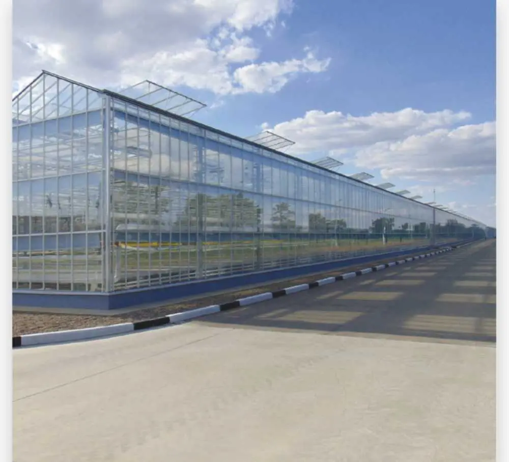 FullSizeRender.jpg FullSizeRender.jpg