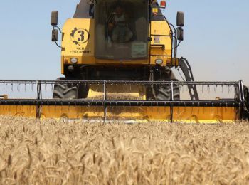 правительство рф увеличит субсидирование сельского хозяйства из-за санкций